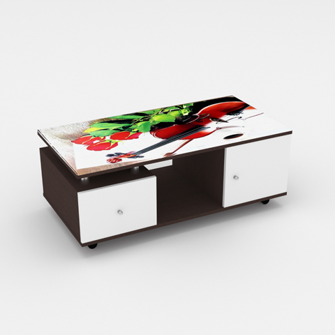 SCT 315 Coffee Table